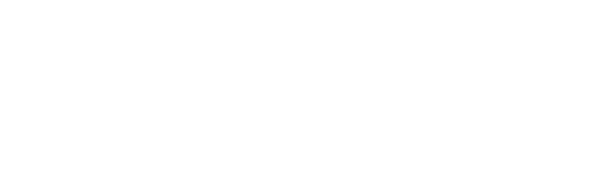 ProTech logo wit
